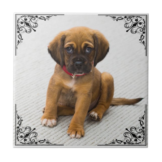 CARREAU AJOUTER VOTRE PROPRE PHOTO (Devant)