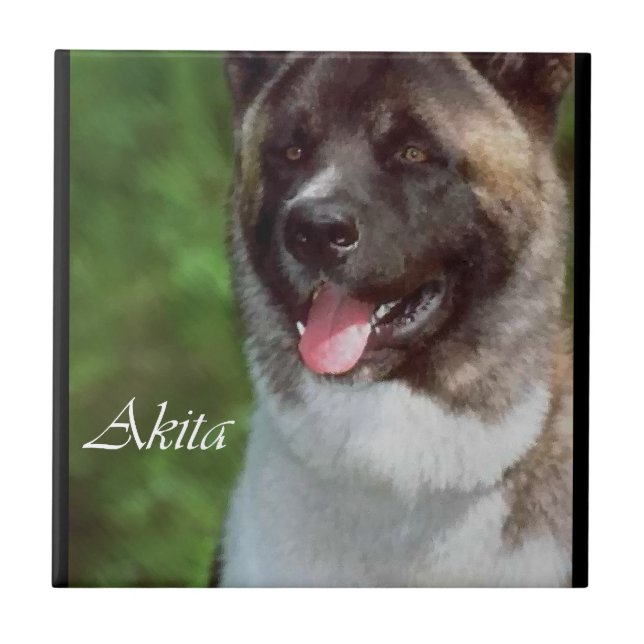 Carreau Akita Art (Devant)