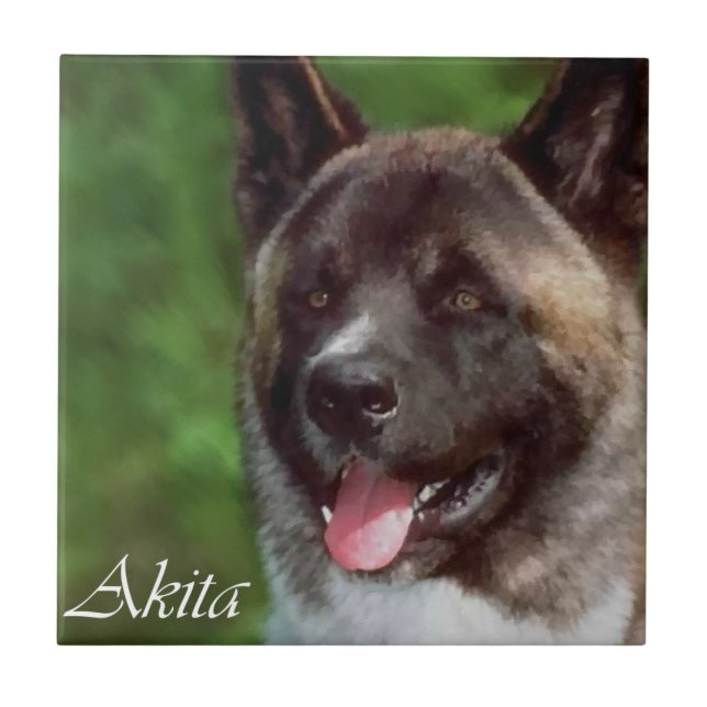 Carreau Akita Art (Devant)