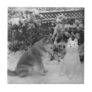 Carreau akita noir et blanc avec un chien de neige