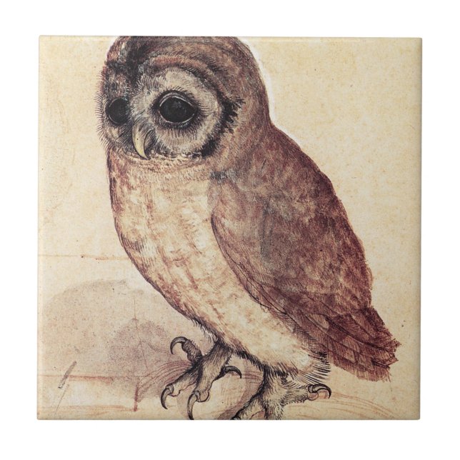 Carreau Albrecht Durer la tuile de petit hibou (Devant)