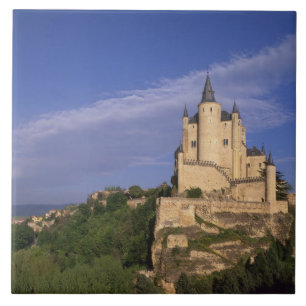 Carreau Alcazar, Ségovie, Castille-et-León, Espagne