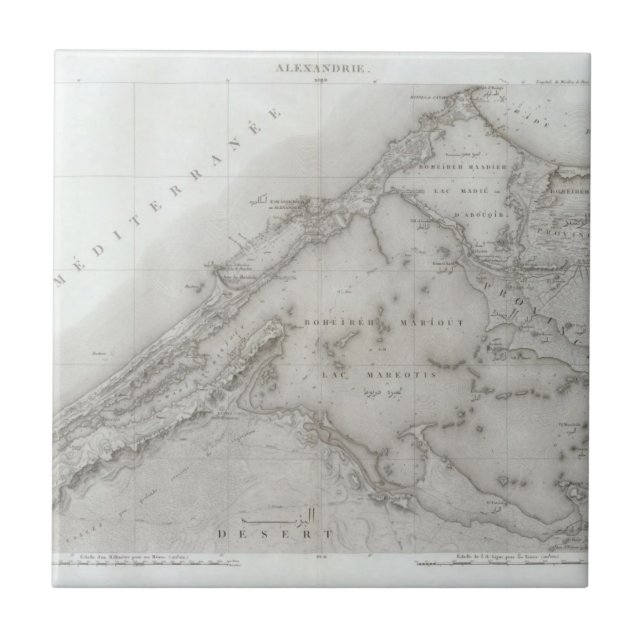 Carreau Alexandrie, Egypte (Devant)