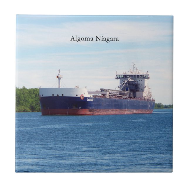 Carreau Algoma (Devant)