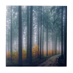Carreau Allée majestueuse bordée d'arbres de la forêt