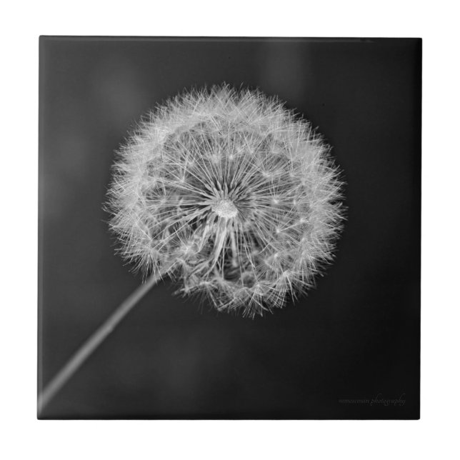 Carreau Aller aux semences (Devant)