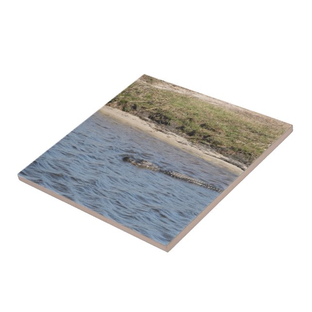 Carreau Alligator Sauvage Faune au Bord de la Rivière  (Côté)