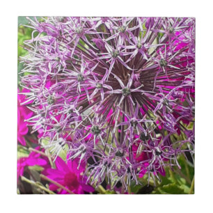 Carreau Allium & Fleurs d'été Carrelage en céramique