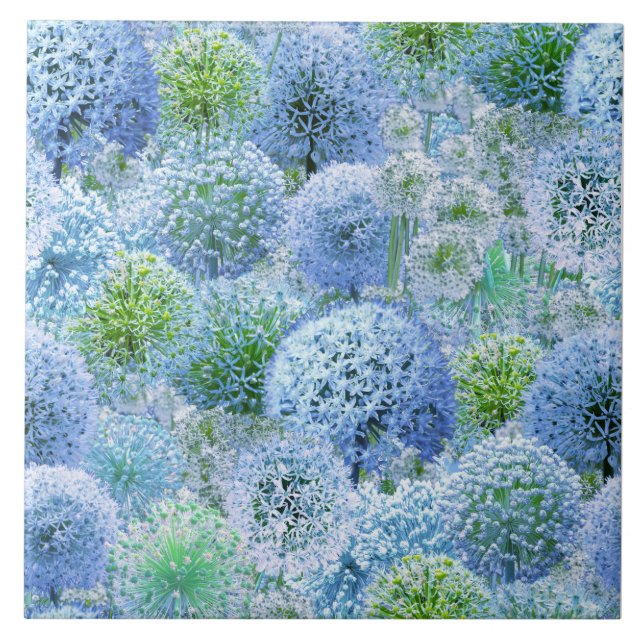 Carreau Alliums Bleus (Devant)