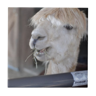 Carreau Alpaca, blanc