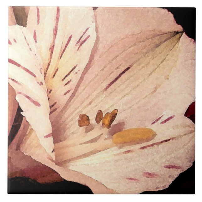 Carreau Alstroemeria en fleurs (Devant)