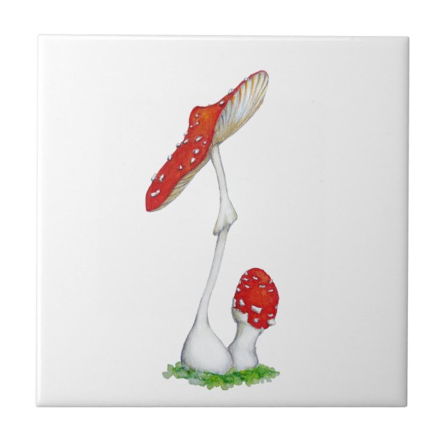 Carreau Amanita muscaria (Devant)