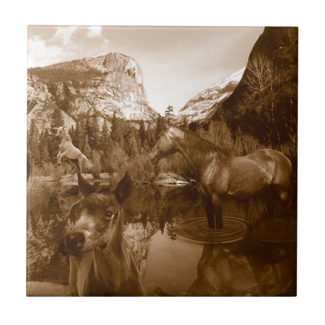 Carreau américain (Devant)