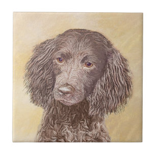 Carreau American Water Spaniel Peinture - Original Dog Art