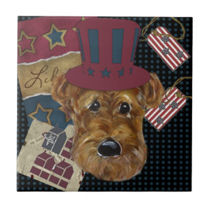CARREAU AMERICANA AIREDALE