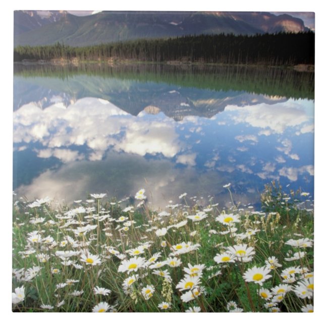 Carreau Amérique du Nord, Canada, Alberta, Parc national d (Devant)