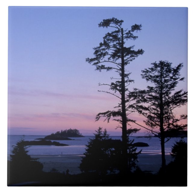 Carreau Amérique du Nord, Canada, île de Vancouver, arbres (Devant)