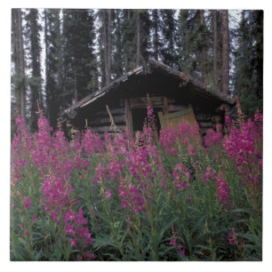 Carreau Amérique du Nord, Canada, Yukon. Capteurs abandon