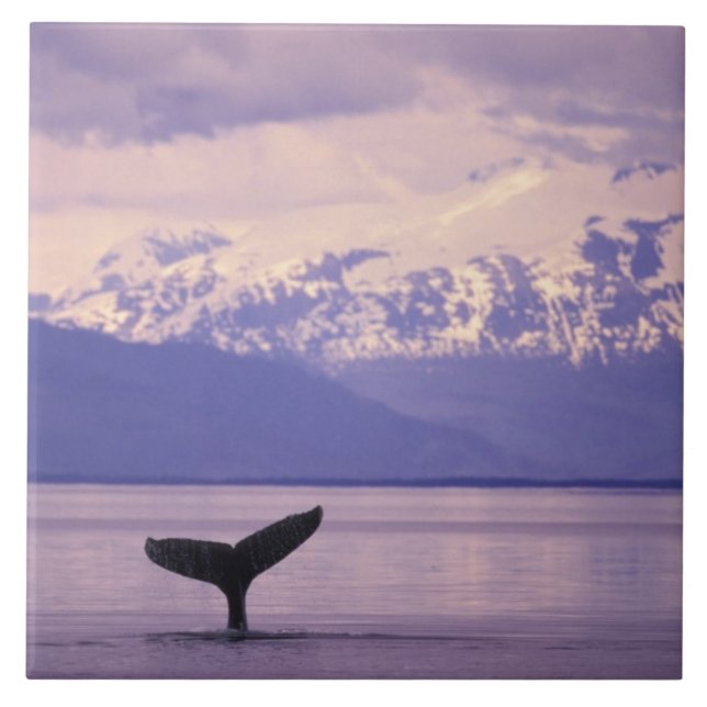 Carreau Amérique du Nord, États-Unis, Alaska, Passage inté (Devant)