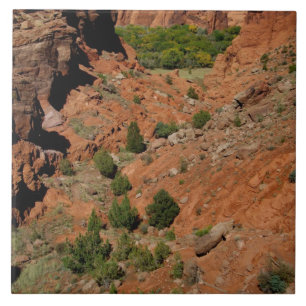 Carreau Amérique du Nord, États-Unis, Arizona, Indien Nava