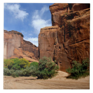 Carreau Amérique du Nord, États-Unis, Arizona, Indien Nava