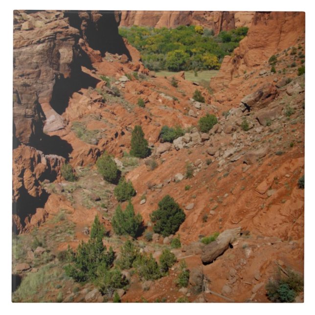 Carreau Amérique du Nord, États-Unis, Arizona, Navajo Indi (Devant)