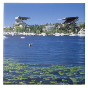 Carreau Amérique du Nord, États-Unis, État de Washington, 