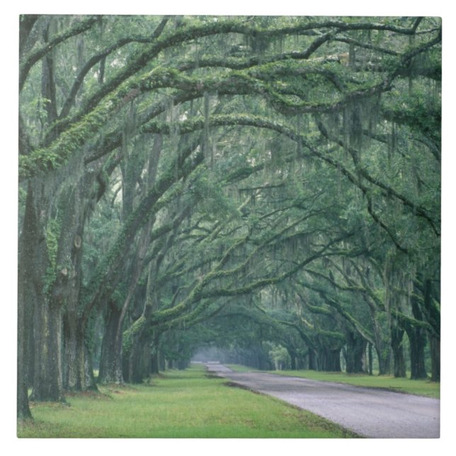 Carreau Amérique du Nord, États-Unis, Géorgie, Savannah, (Devant)