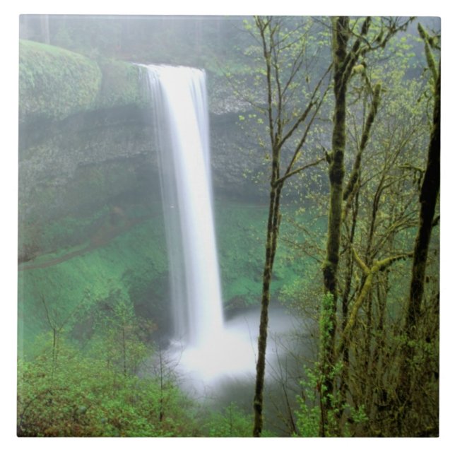 Carreau Amérique du Nord, États-Unis, Oregon, Silver Falls (Devant)