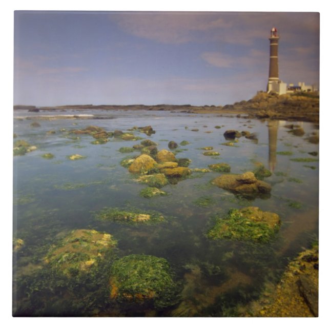 Carreau Amérique du Sud, Uruguay, Punta Jose Ignacio, (Devant)