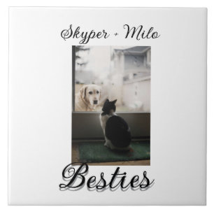 Carreau Amis animaux meilleurs amis ajoutent nom animal ph