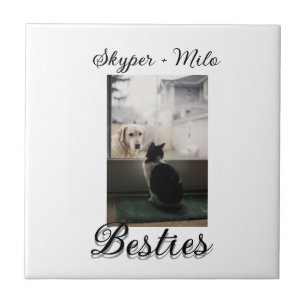 Carreau Amis animaux meilleurs amis ajouter nom animal pho