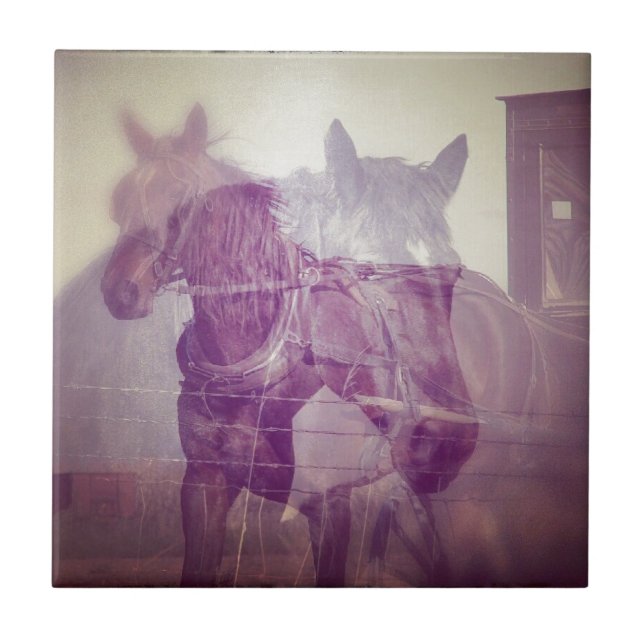 Carreau Amish chevaux collage numérique (Devant)