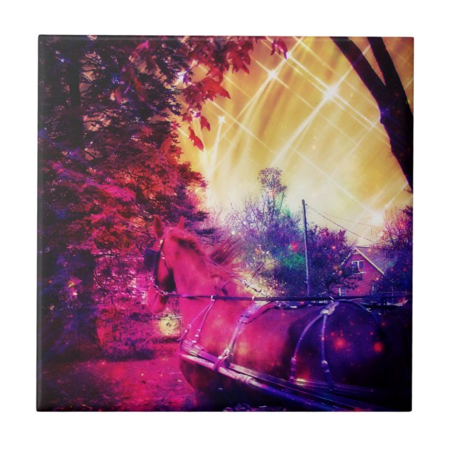 Carreau Amish Horse et Buggy, Space Edit (Devant)