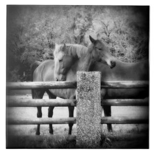 Carreau Amour de cheval - paire de chevaux dans l'étreint