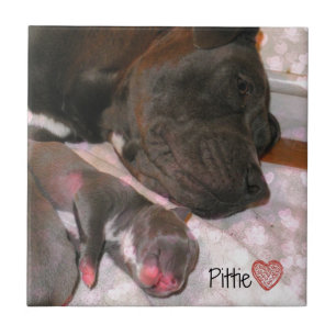 Carreau Amour de Pittie