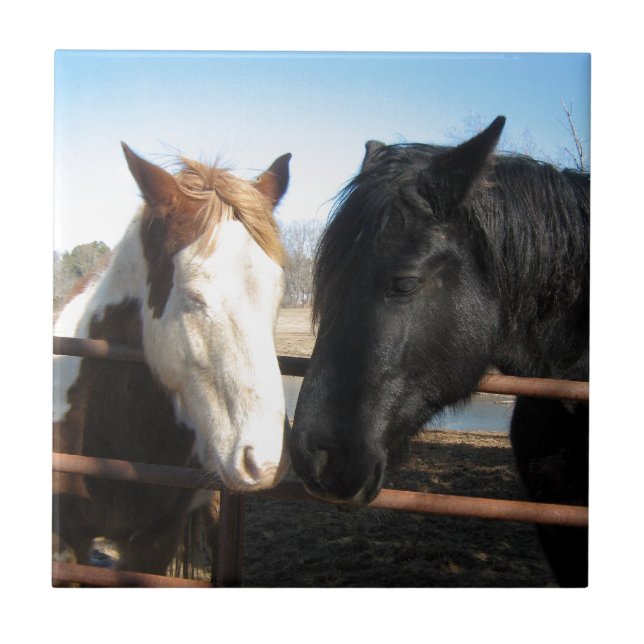 Carreau Amoureux (Devant)