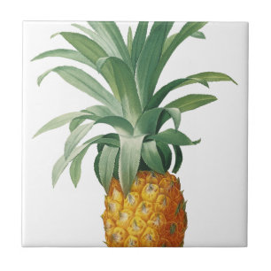 Carreau Ananas