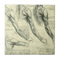Anatomie du bras et de l'épaule de Léonard de Vinc