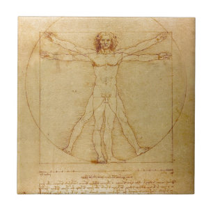 Carreau Anatomie humaine, homme de Vitruvian par Leonardo