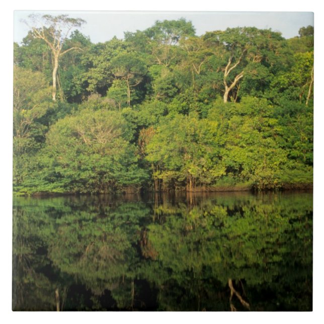 Carreau Anavilhanas, Amazonas, Brésil. Rivière de la forêt (Devant)
