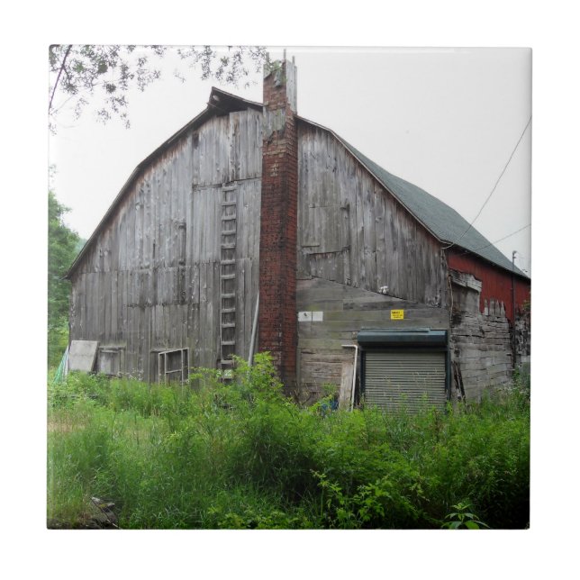 Carreau Ancien carrelage de grange (Devant)