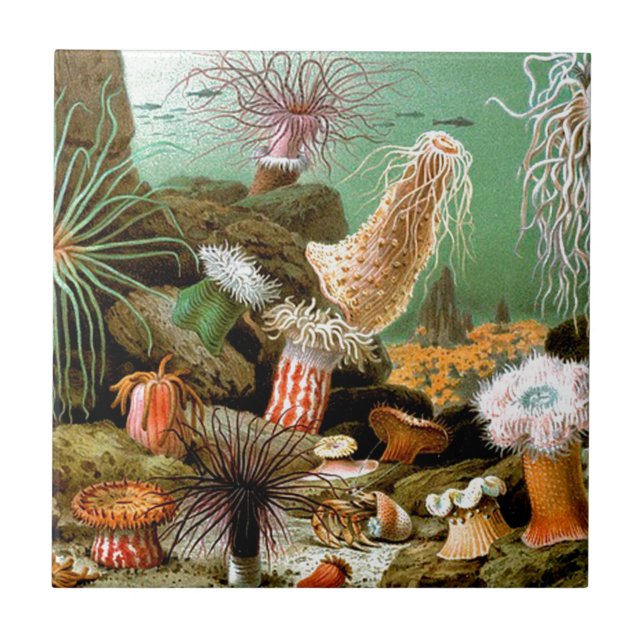 Carreau Anémones de mer sous l'eau (Devant)
