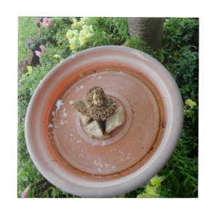 Carreau Ange dans la tuile de Bath d'oiseau