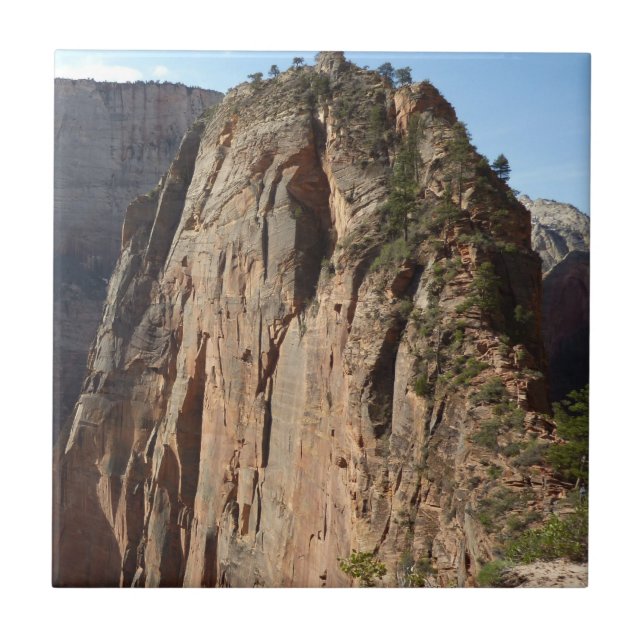 Carreau Angels Landing à Zion National Park (Devant)