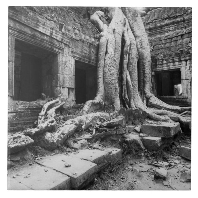 Carreau Angkor Cambodge, Ta Prohm Tree (Devant)