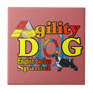 Carreau Anglais Cocker Spaniel Agilité