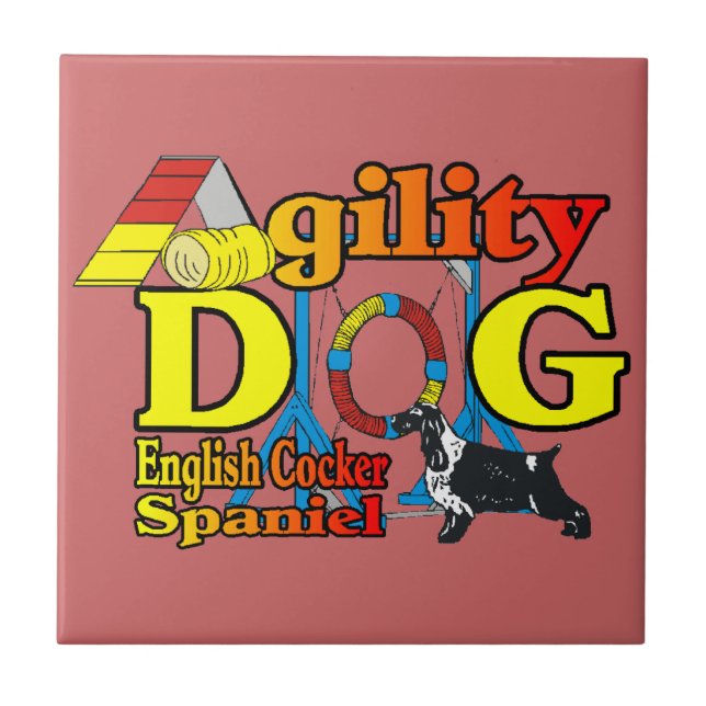 Carreau Anglais Cocker Spaniel Agilité (Devant)