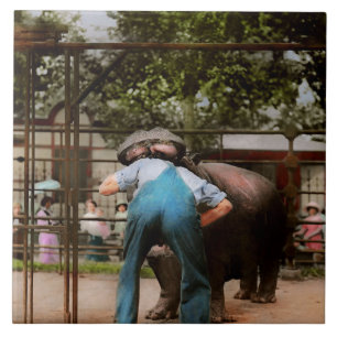 Carreau Animal - Hippopotame - Tours stupides d'humains 19