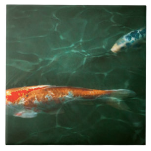 Carreau Animal - Poisson - Carpe koï - Une autre histoire 